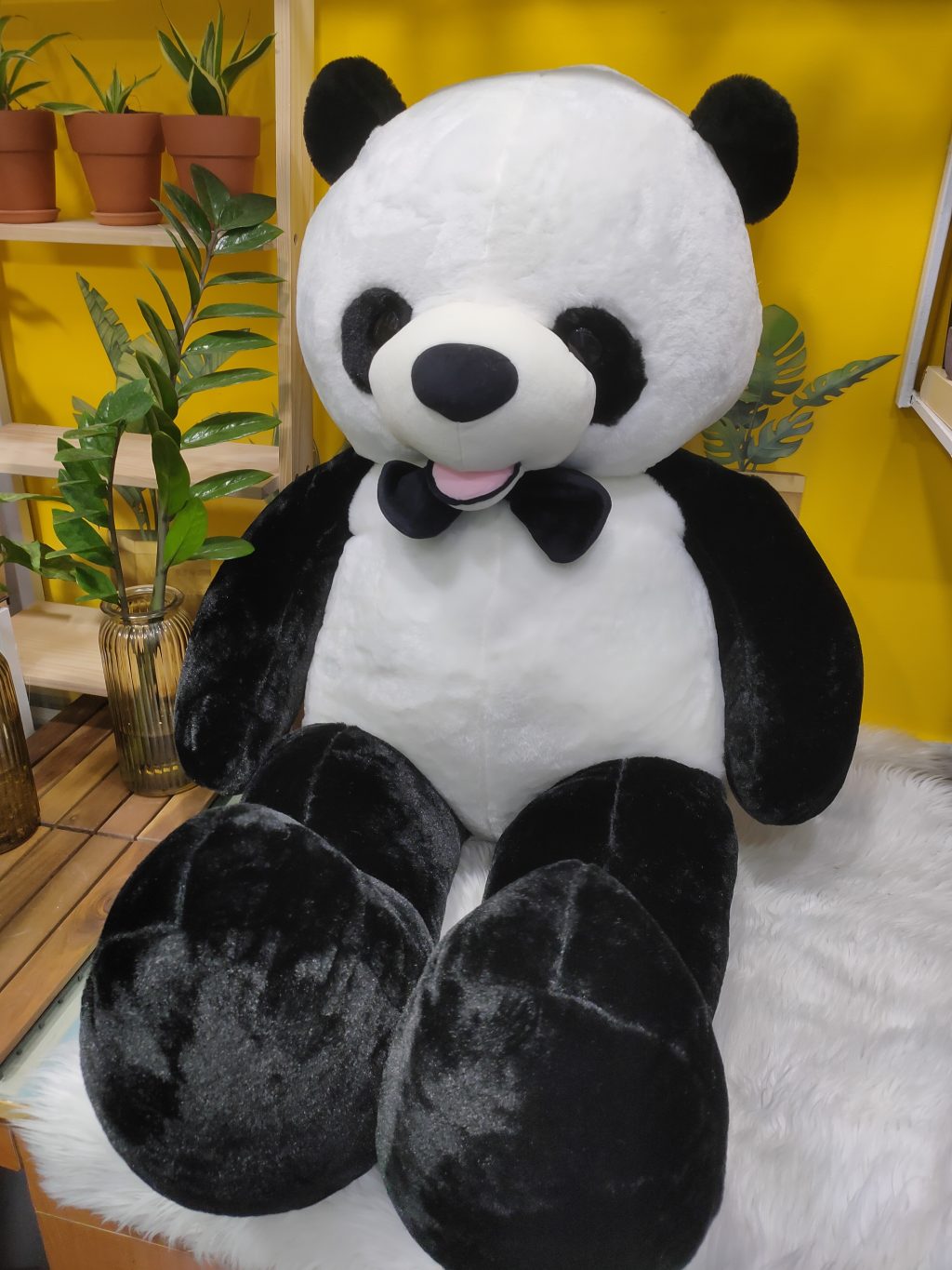Gấu Trúc Panda
