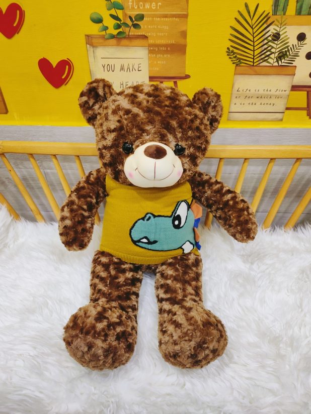 Gấu Teddy Áo Khủng Long