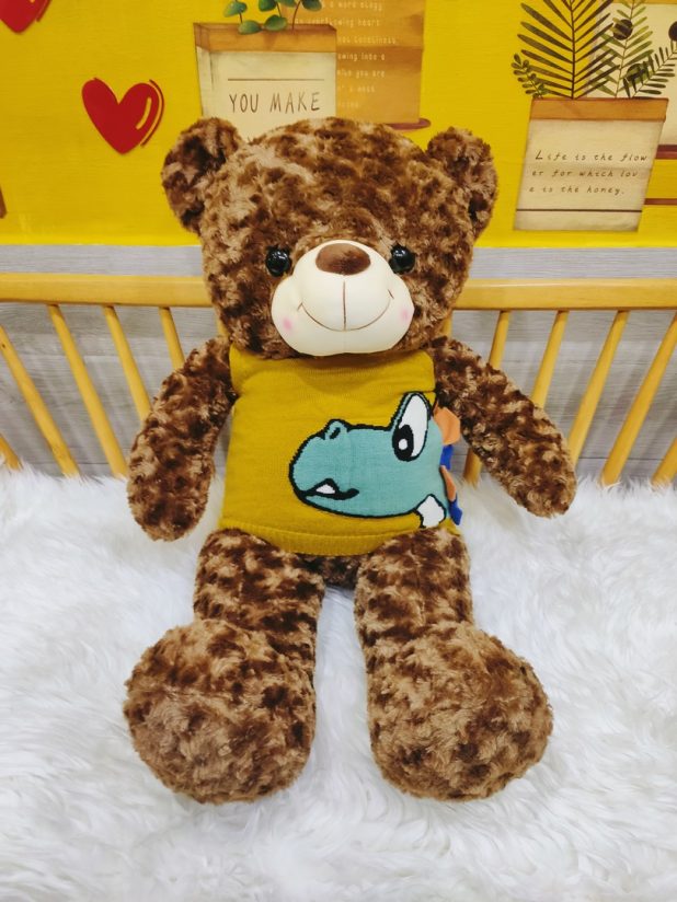 Gấu Teddy Áo Khủng Long