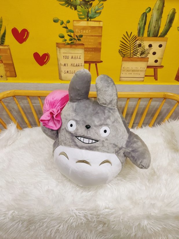 Totoro Nhồi Bông