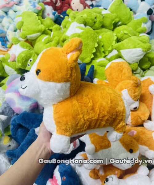 Chó Bông Corgi Đứng