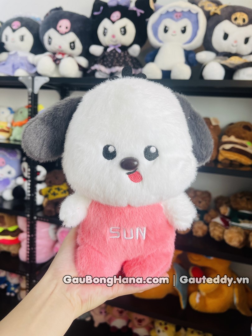 Chó Bông Tai Đen Mini
