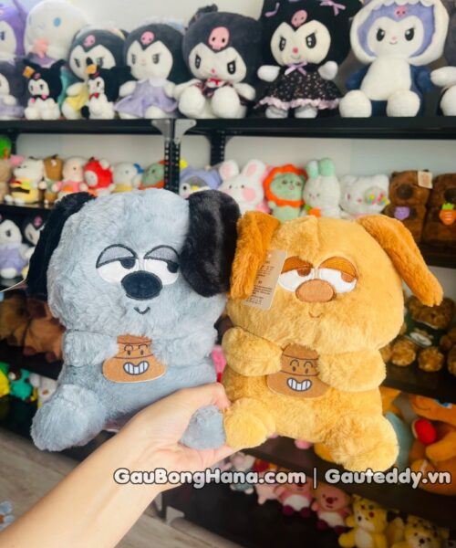 Chó Bông Mắt Nhìn Ngang Mini