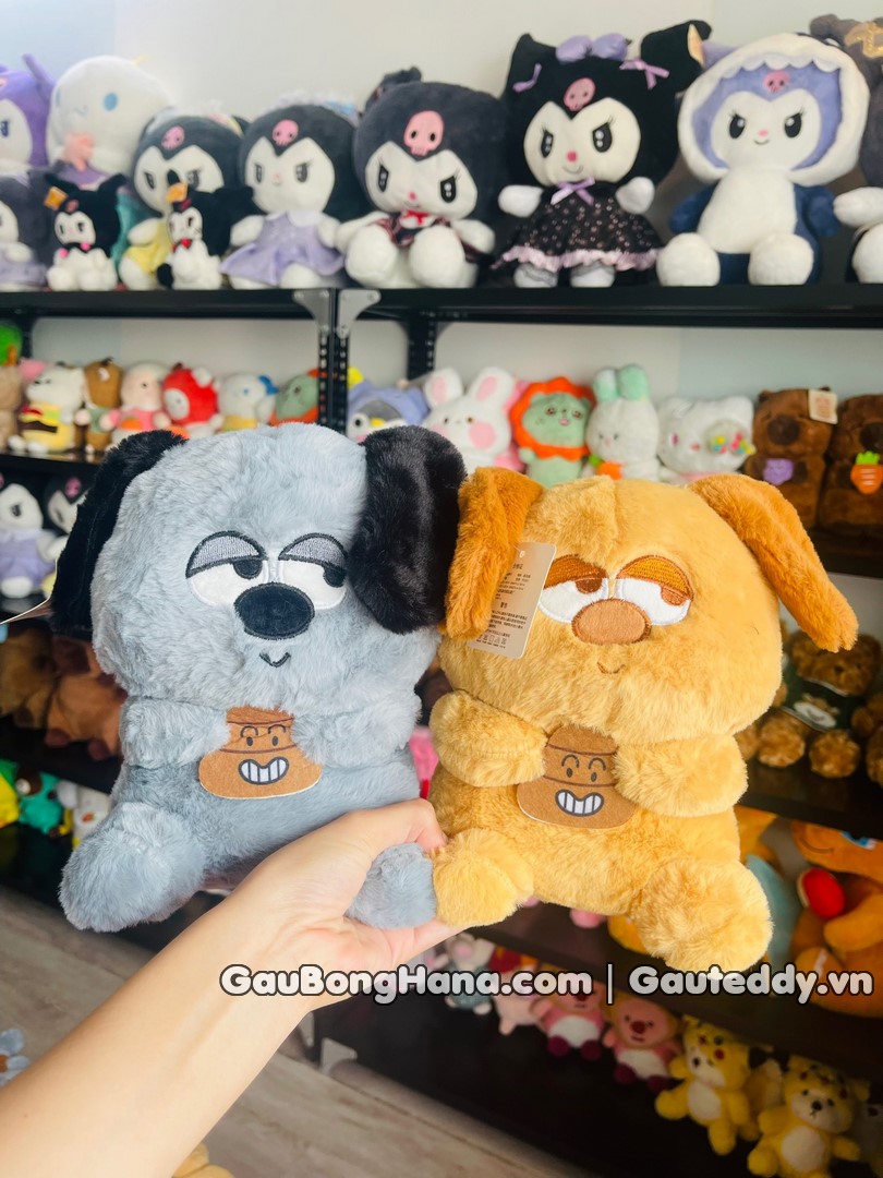 Chó Bông Mắt Nhìn Ngang Mini