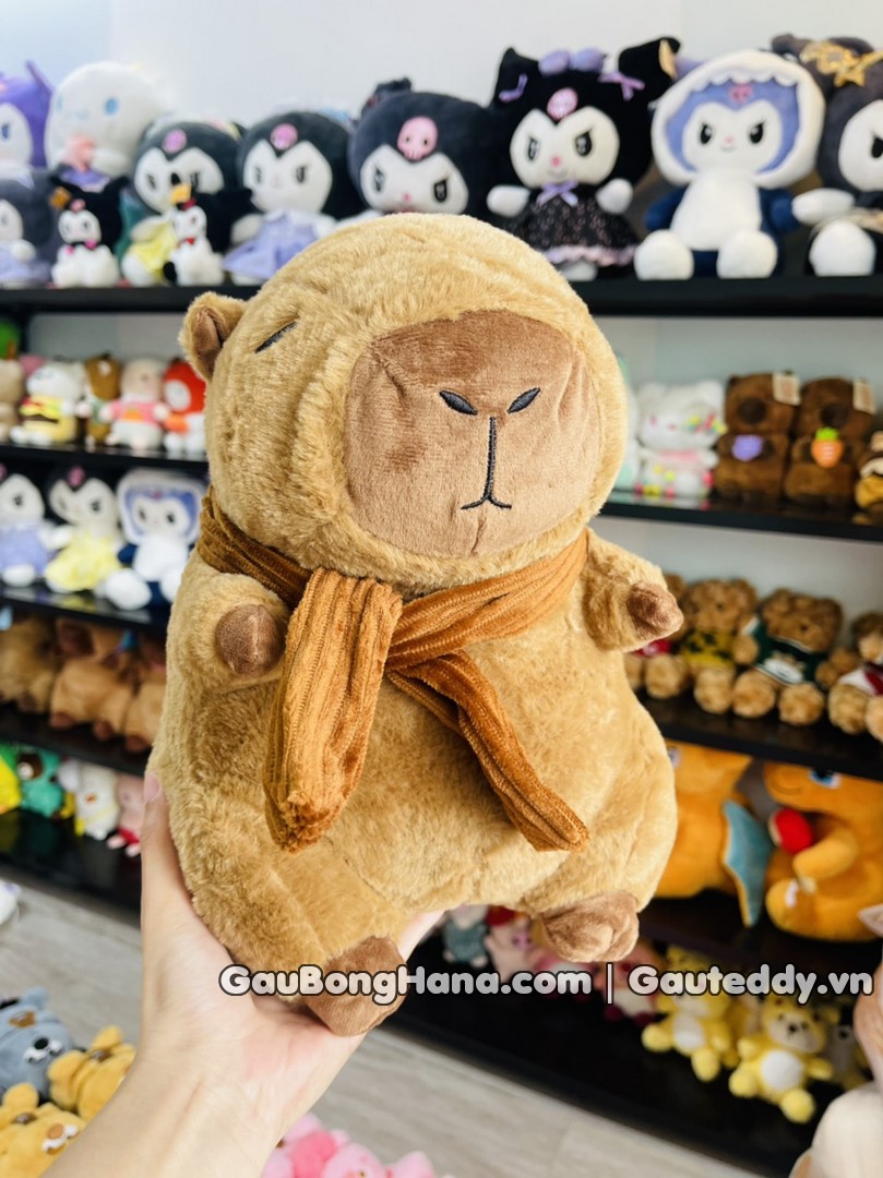 Chuột Capybara Choàng Khăn